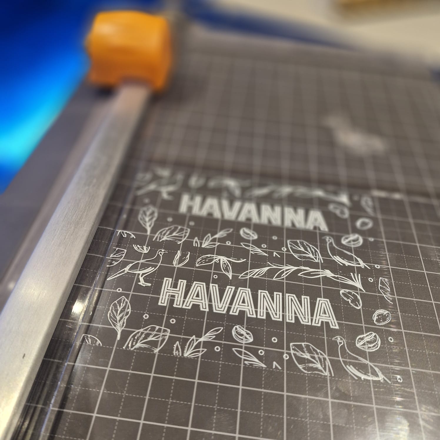 Havanna DTF